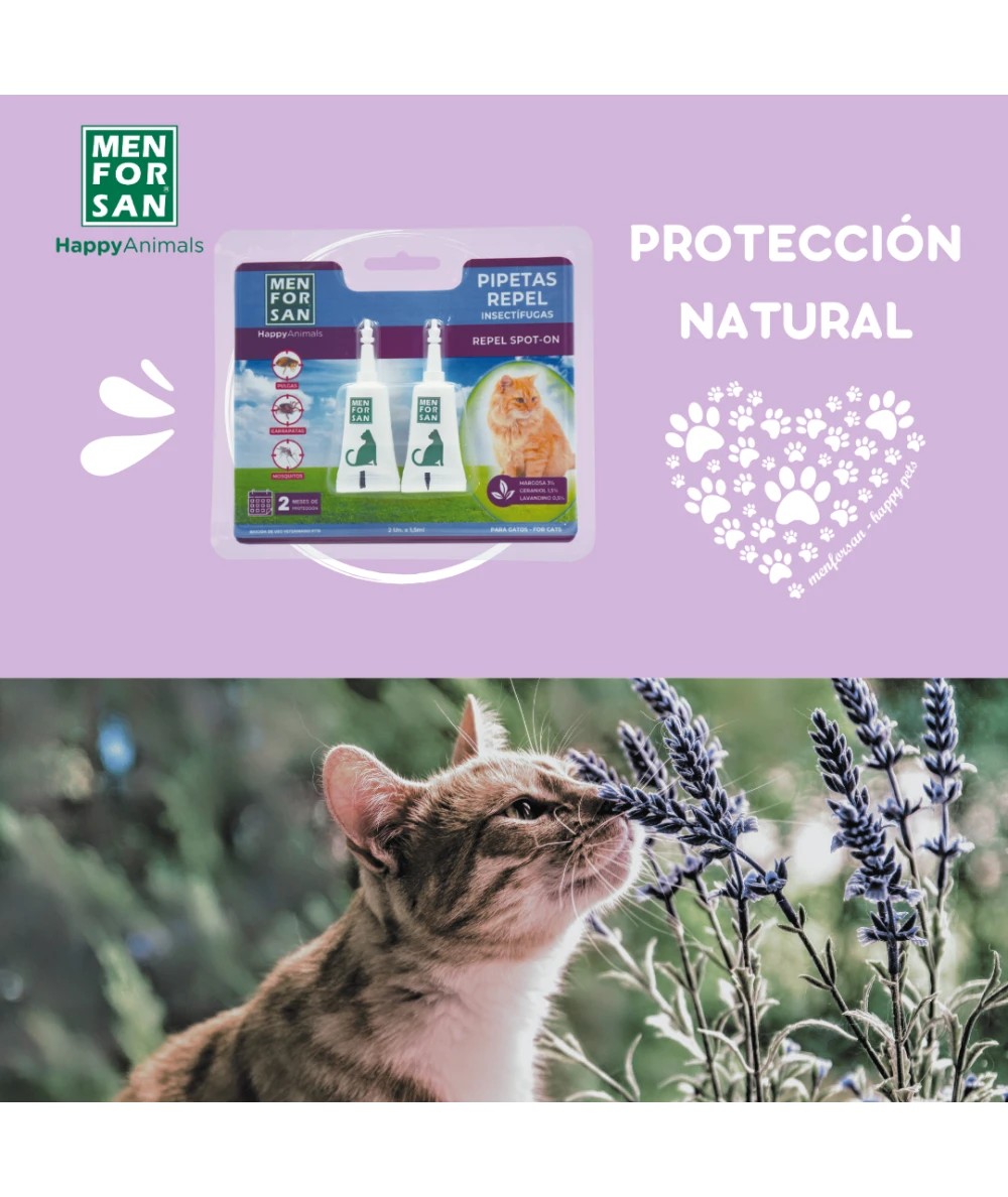 How to Prevent Mosquito Bites on Cats: Effective Tips for Safety