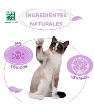 Anti-insect foam shampoo for cats 200ml | Menforsan