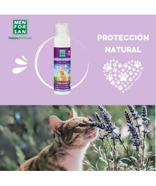 Anti-insect foam shampoo for cats 200ml | Menforsan