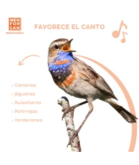 Complementary food for birds sing 30ml