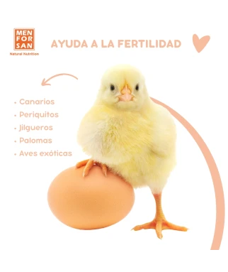 Complementary food for birds breeding 30ml