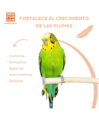 Complementary food for birds moulting 30ml