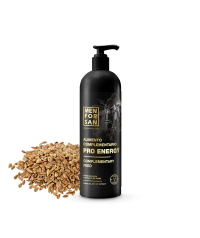 Complementary feed for horses 1L | Menforsan