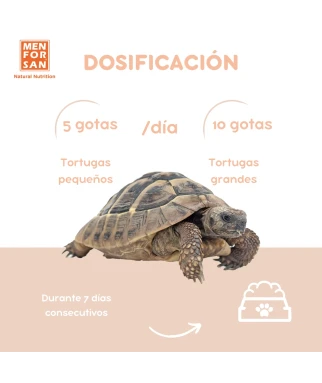 Pienso complementario caparazón de tortugas 30ml
