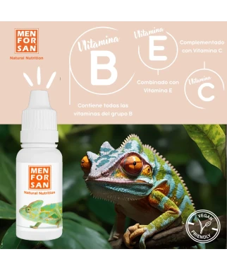 Tortoise shell supplementary food