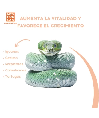 Tortoise shell supplementary food