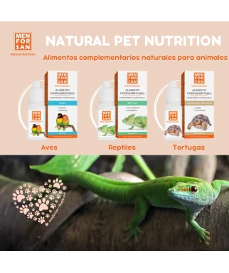 Tortoise shell supplementary food