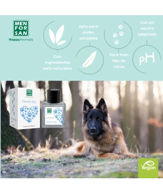 Perfume Dandy Dog 50ml | Menforsan