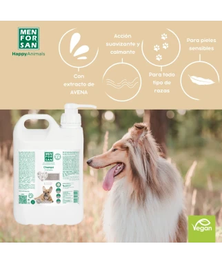 Oats shampoo for dogs 5L | Menforsan