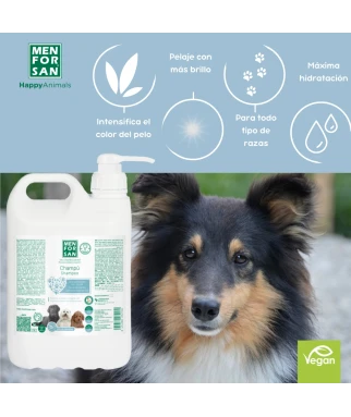 Colour Intensifying Shampoo 5L | MENFORSAN