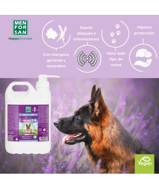 Champú Anti Insectos 5L para perros | Elimina todos los insectos en un lavado | Menforsan