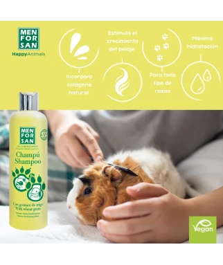 Wheat germ shampoo for ferrets 300ml | Menforsan