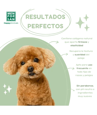 Champú hidratante para perros 300ml | Repara pelajes resecos o deteriorados | Menforsan
