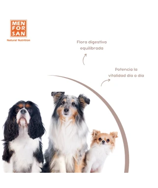 PRE + PRO BIÓTICO para perros