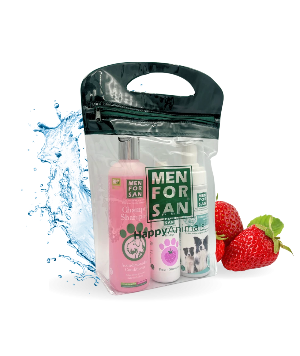 Strawberry bag for dogs