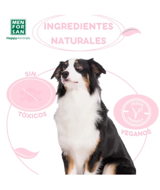 NECESER FRESA para perros