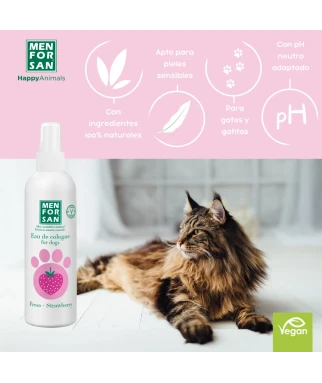 NECESER FRESA para gatos