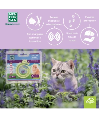 NECESER ANTI INSECTOS para gatos