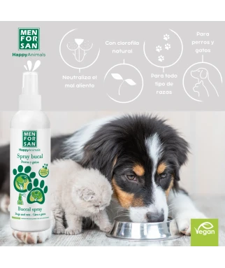 Bucal spray for dogs | Menforsan