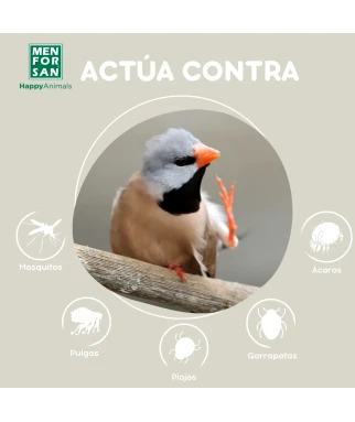 Insecticida para el entorno de las aves 250ml | Menforsan
