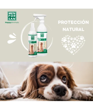 Insecticida Entorno perros 250ml | Menforsan