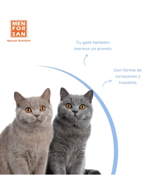 Pack 4 snacks para gatos