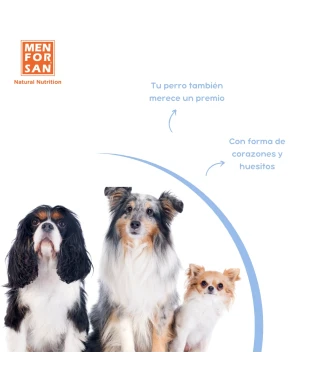 Pack 4 snacks para perros