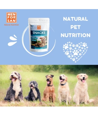 Pack 4 snacks para perros
