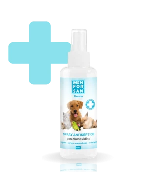 Clorhexidine antiseptic spray 60ml | Menforsan