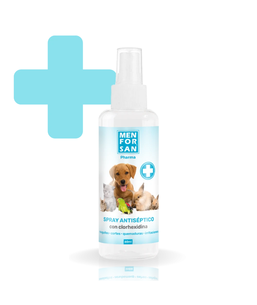 Clorhexidine antiseptic spray 60ml | Menforsan