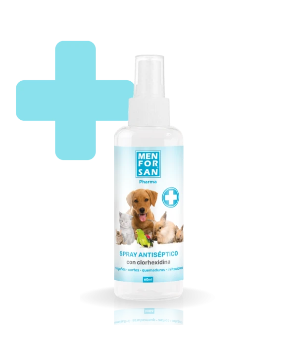 Clorhexidine antiseptic spray 60ml | Menforsan