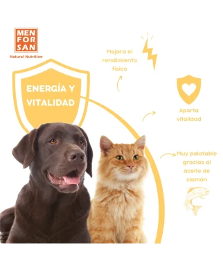 Complementary feed for senior dogs 120ml | Menforsan