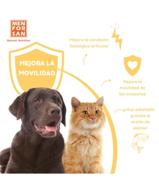 Complementary Feed joints for dogs 120ml | Menforsan