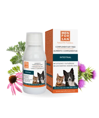Complementary Feed intestinal for dogs | Menforsan