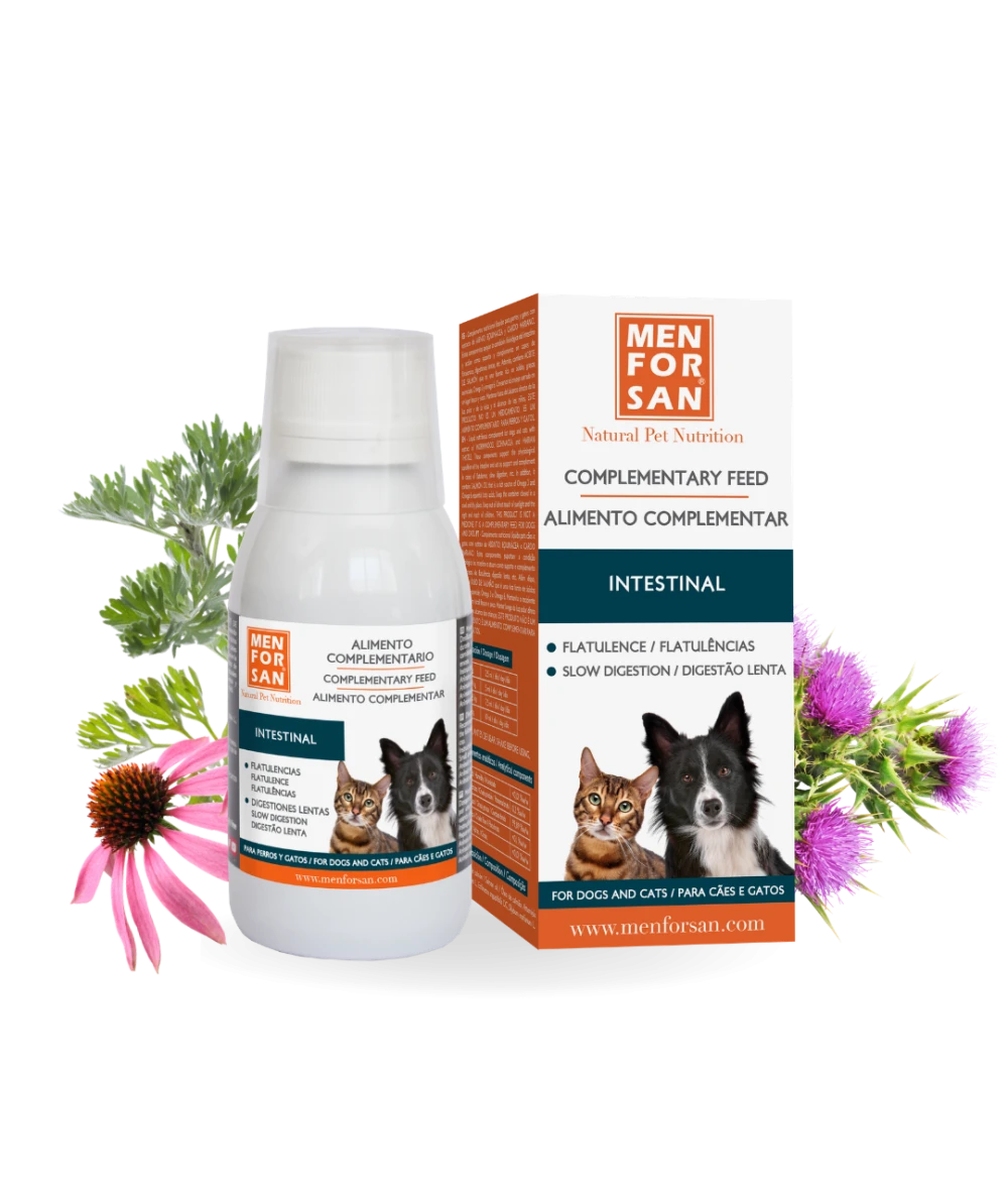Alimento complementario intestinal para perros 120ml | Menforsan
