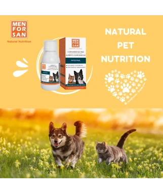 Complementary Feed intestinal for dogs | Menforsan