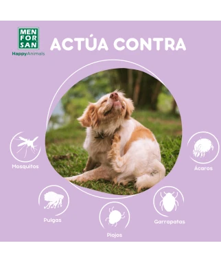 Anti insect shampoo for dogs (3 actives) 300ml | Menforsan