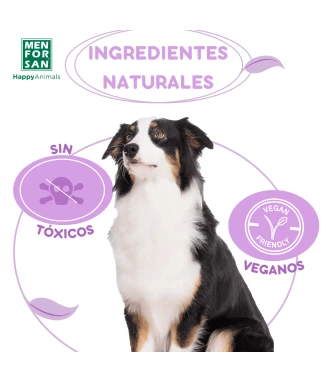 Anti insect shampoo for dogs (3 actives) 300ml | Menforsan