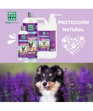 Anti insect shampoo for dogs (3 actives) 300ml | Menforsan