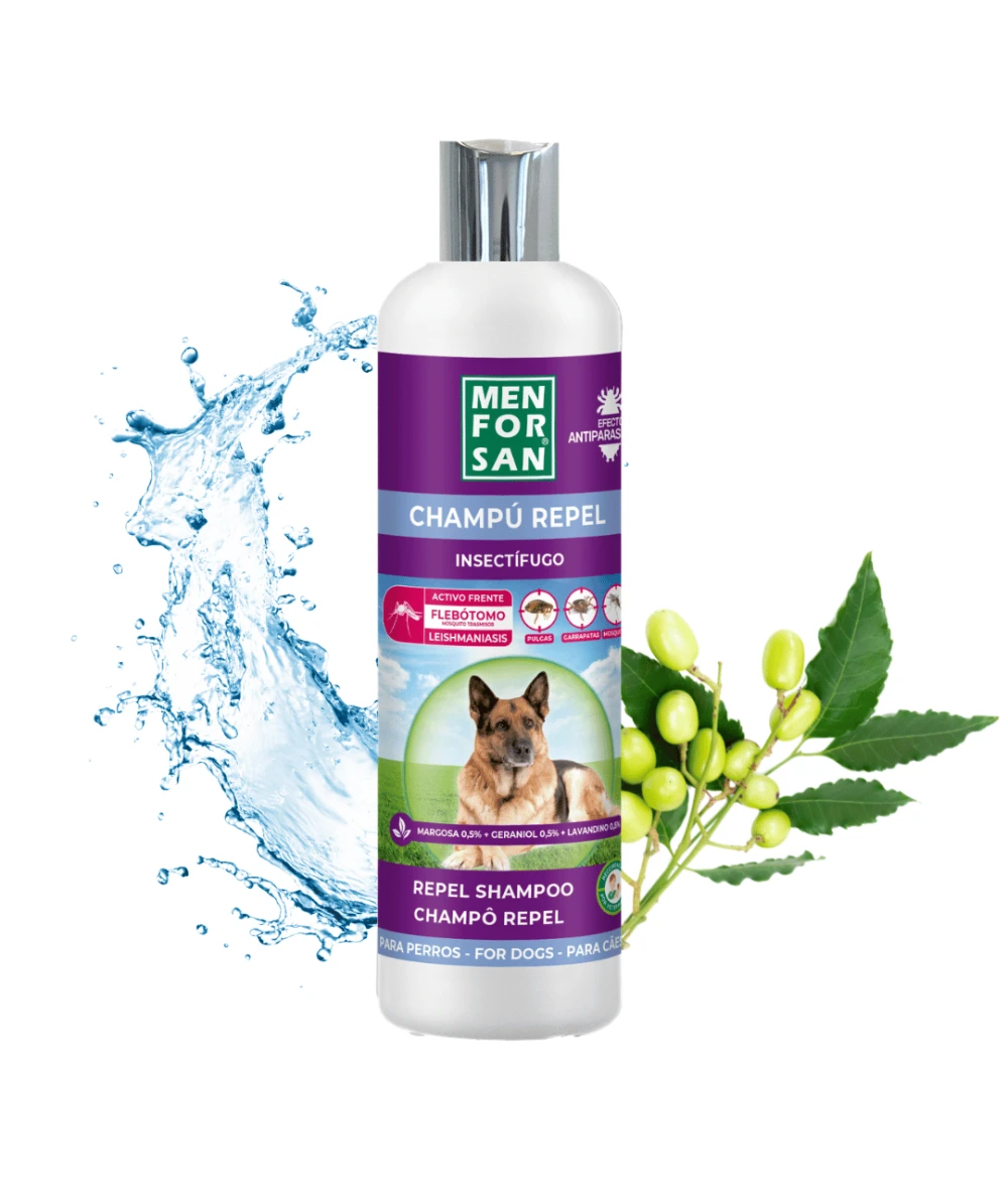 Champú Anti Insectos 300ml para perros | Elimina todos los insectos en un lavado | Menforsan