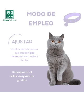 Collar calmante para gatos