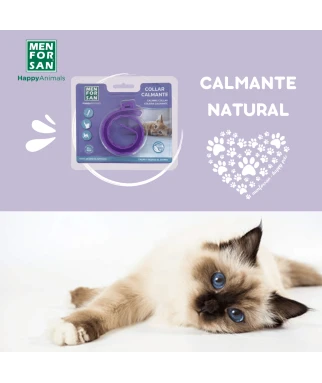 Collar calmante para gatos