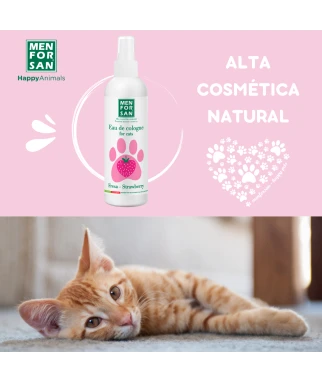 Eau de cologne strawberry for cats | Menforsan