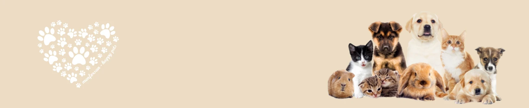 SUPLEMENTOS VITAMINICOS